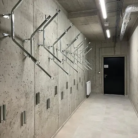 White Shellter - Shellter & *