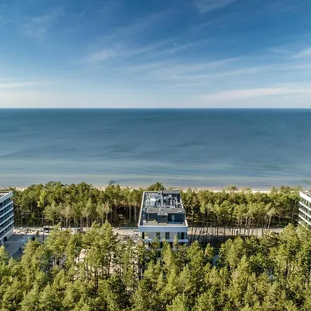 White Shellter - Shellter & *