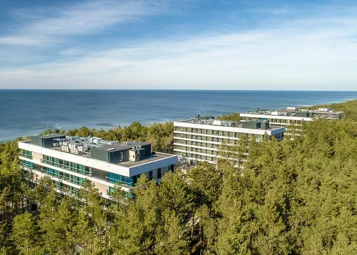 White Shellter - Shellter &