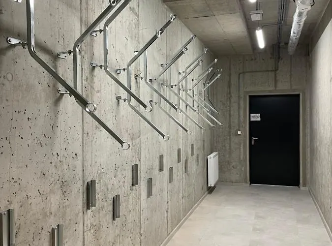 White Shellter - Shellter & *