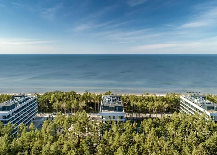 White Shellter - Shellter & *