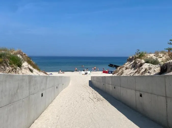 White Shellter - Shellter & *