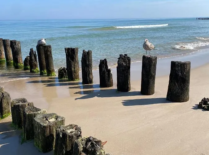 Apartman White Shellter - Shellter &