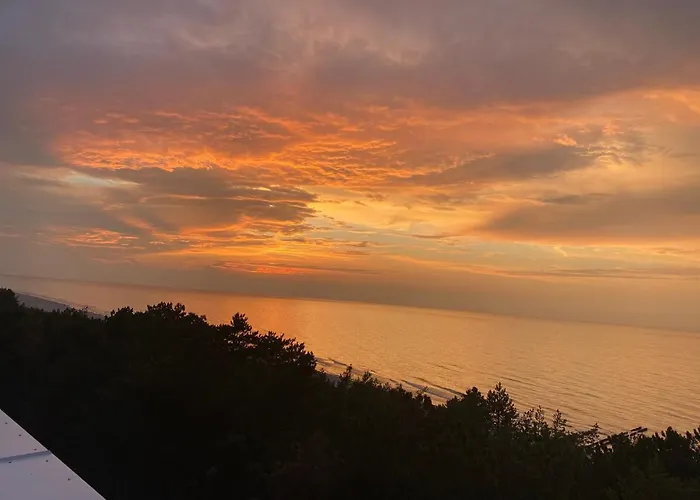 White Shellter - Shellter & Apartman *